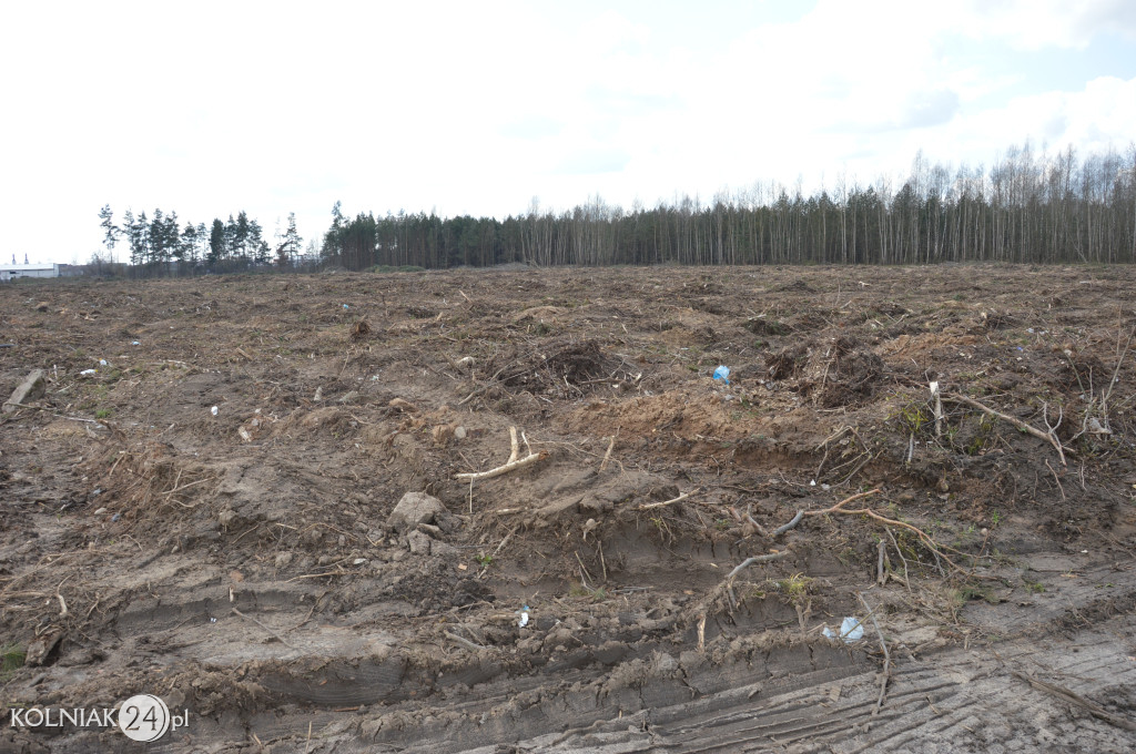Kolneńskie Wieszałki (kwiecień 2023r.)