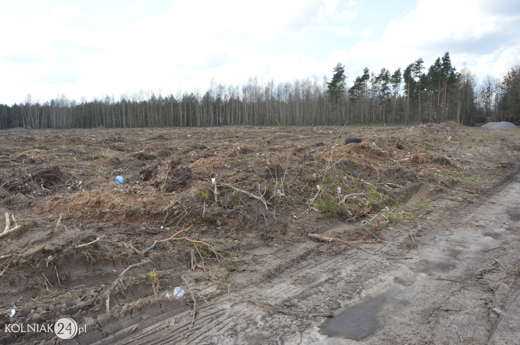 Kolneńskie Wieszałki (kwiecień 2023r.)