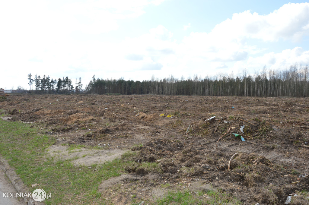 Kolneńskie Wieszałki (kwiecień 2023r.)