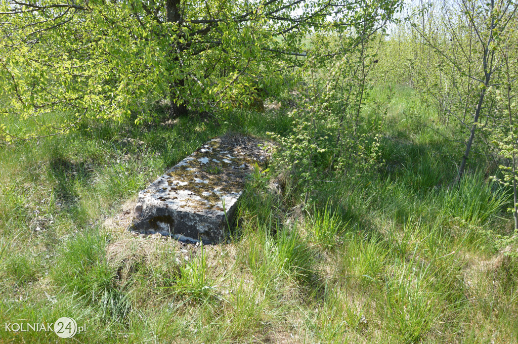 Cmentarz Żydowski w Kolnie