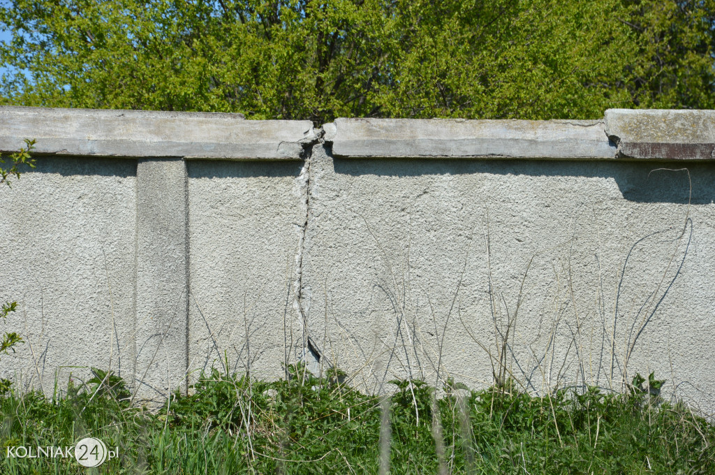 Cmentarz Żydowski w Kolnie