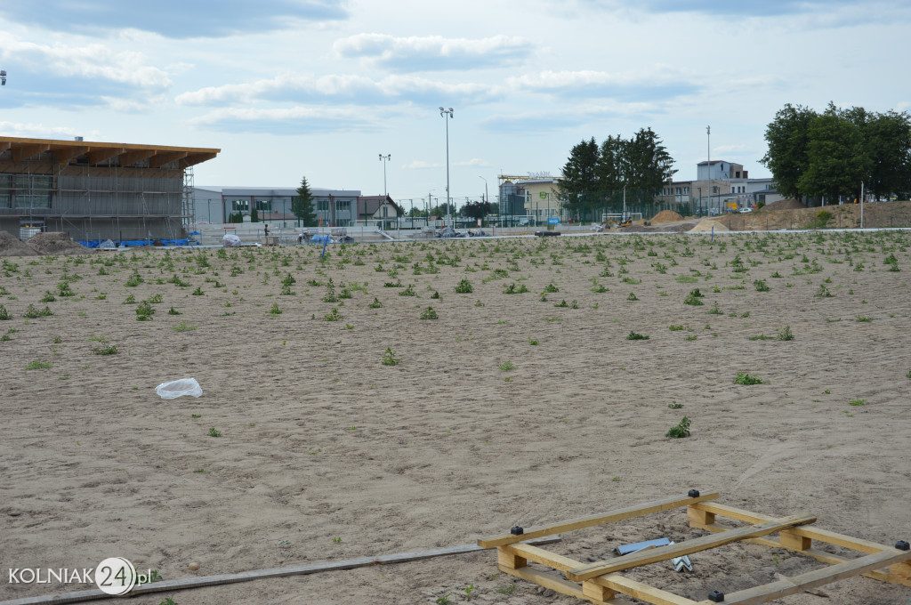 Stadion w Kolnie