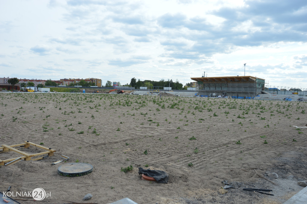 Stadion w Kolnie