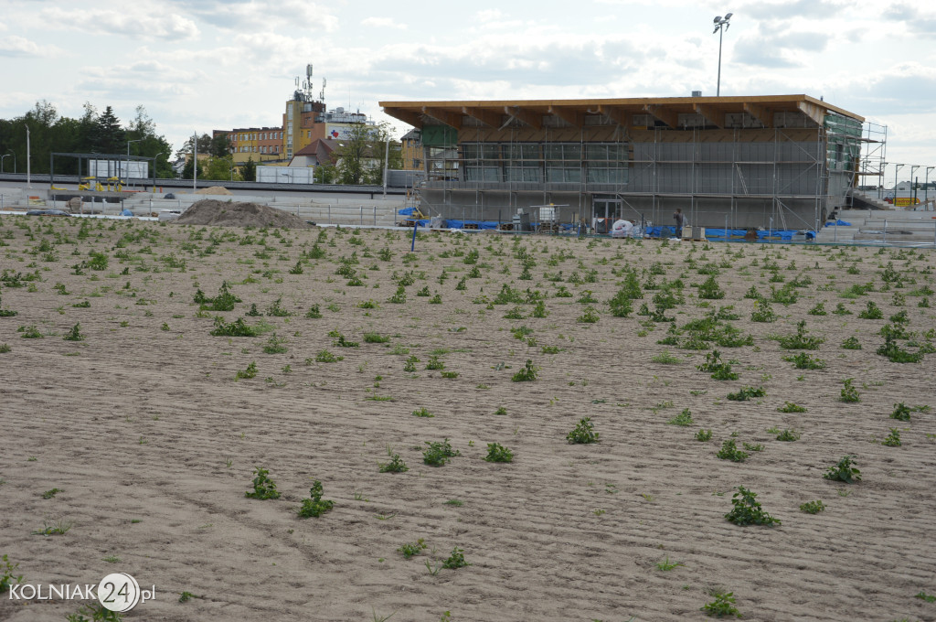 Stadion w Kolnie