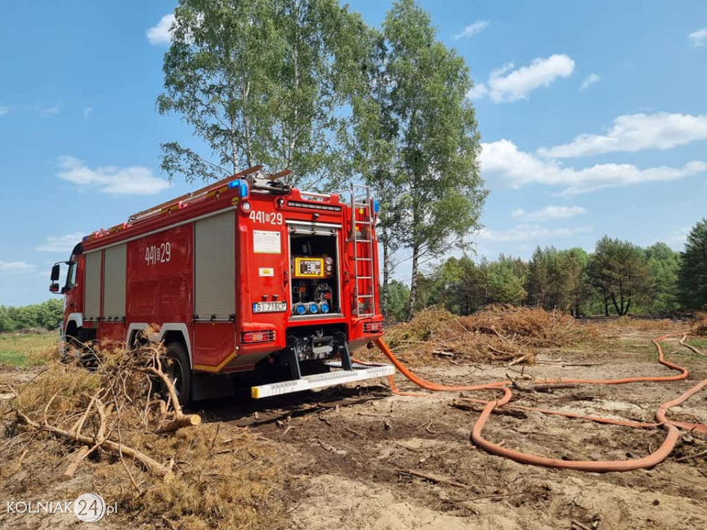 Pożar lasu w Cieciorach