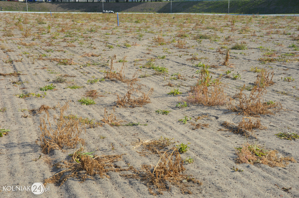 Kolejne zdjęcia ze stadionu miejskiego