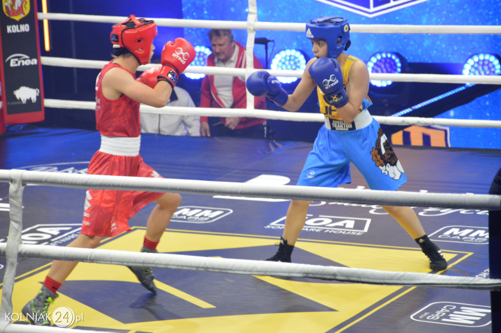 Suzuki Boxing Night 23 w Kolnie