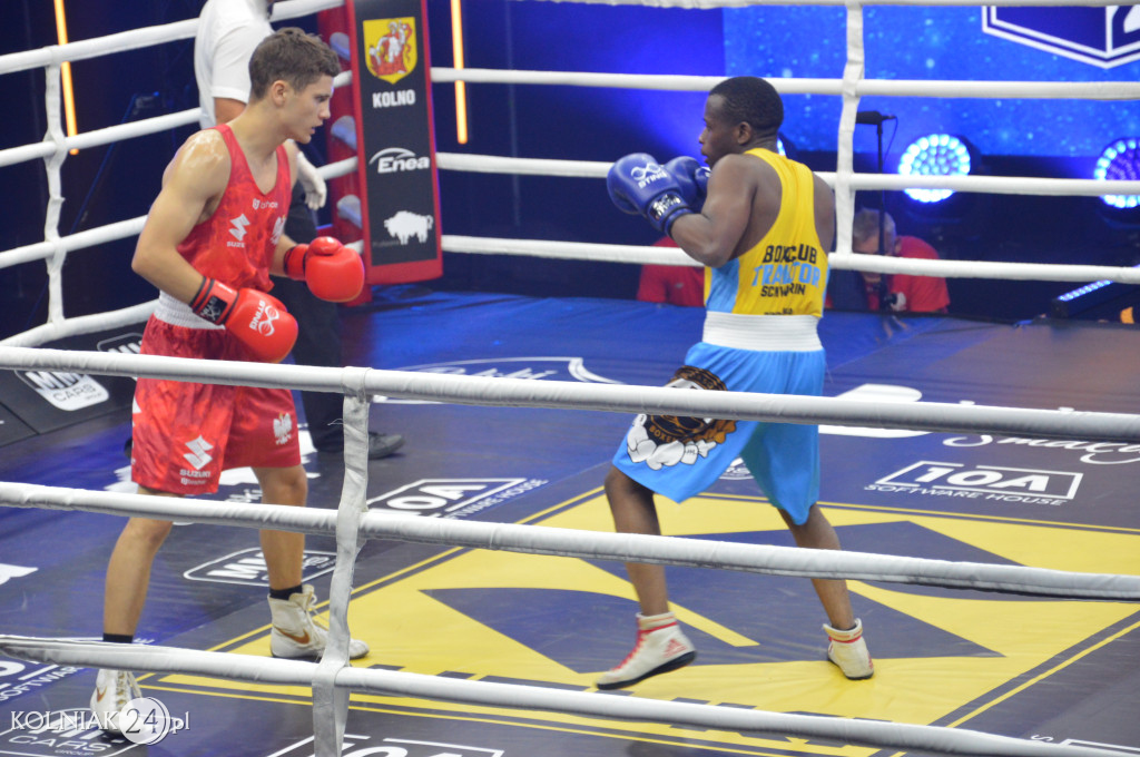 Suzuki Boxing Night 23 w Kolnie