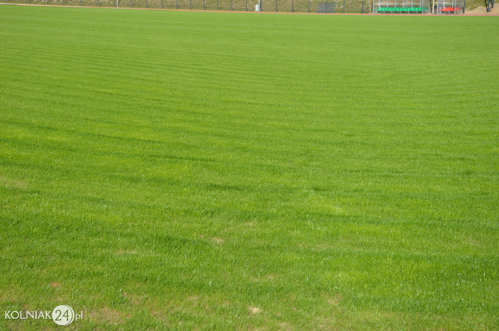 Stadion w Kolnie