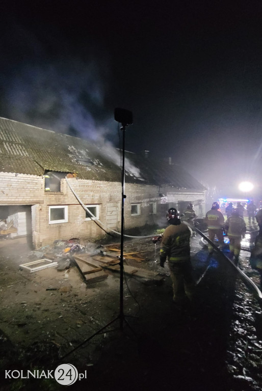 Pożar w miejscowości Wścieklice