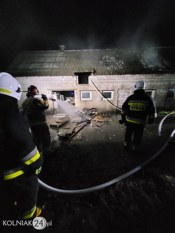 Pożar w miejscowości Wścieklice
