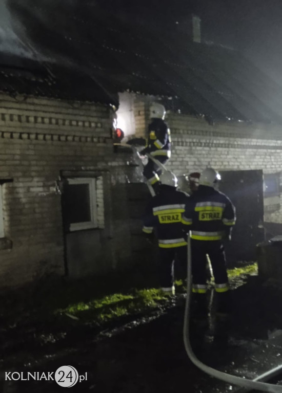 Pożar w miejscowości Wścieklice