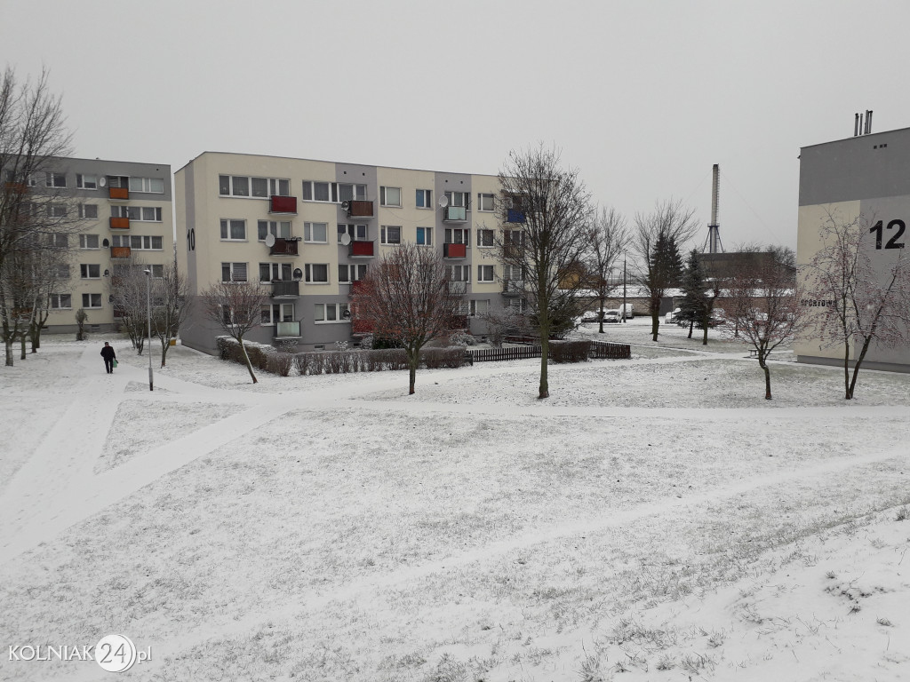 Zima 2023/24 w Kolnie