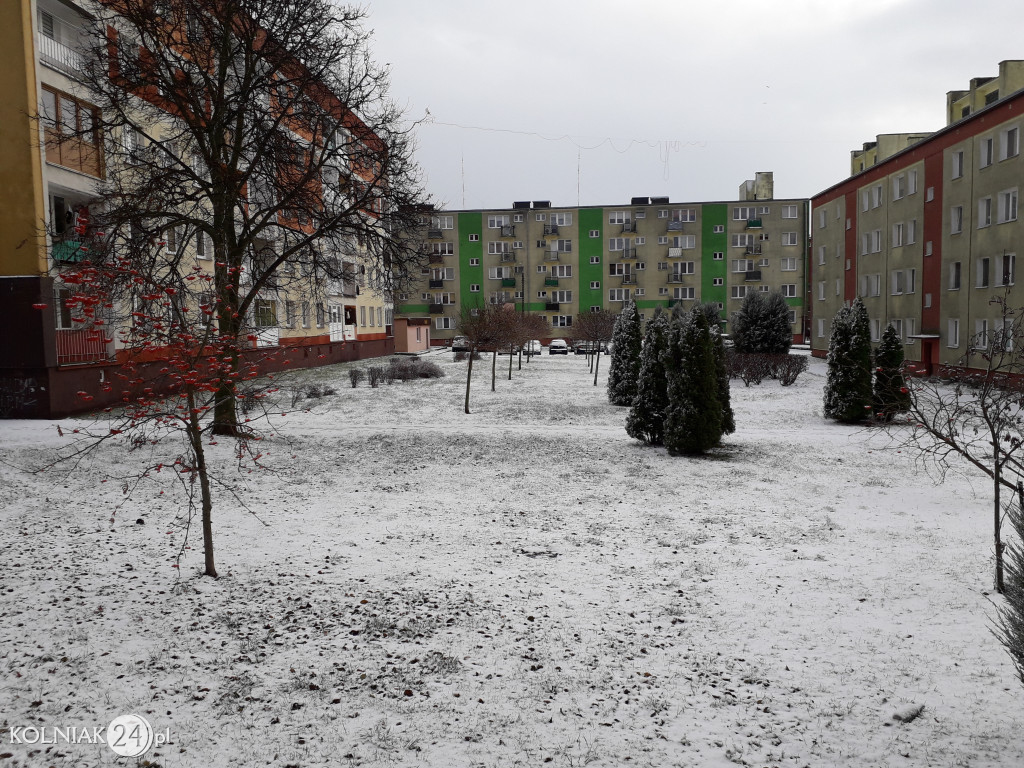 Zima 2023/24 w Kolnie