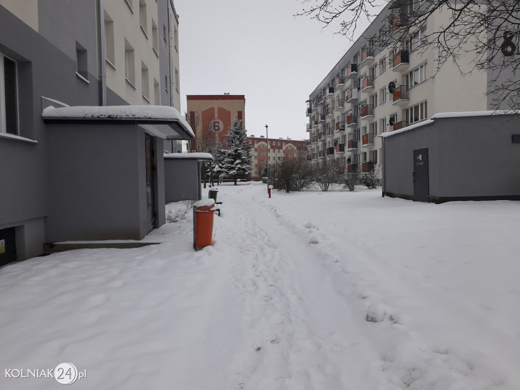 Zima 2023/24 w Kolnie