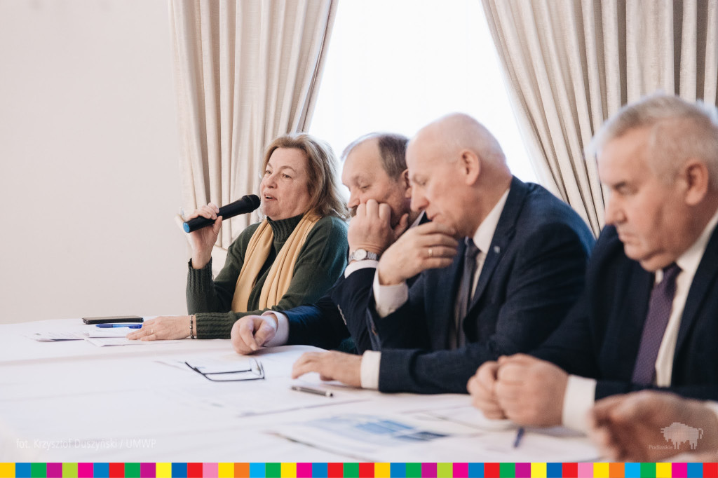 Konferencja Europejskich Konserwatystów i Reformatorów (EKR)