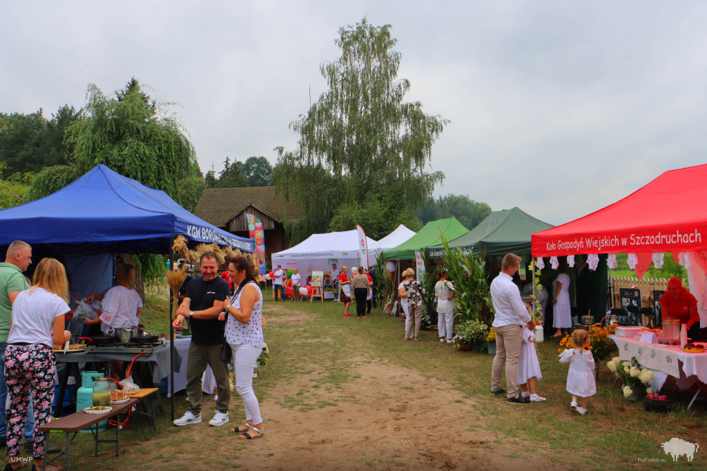 Bitwa Regionów w Skansenie Kurpiowskim