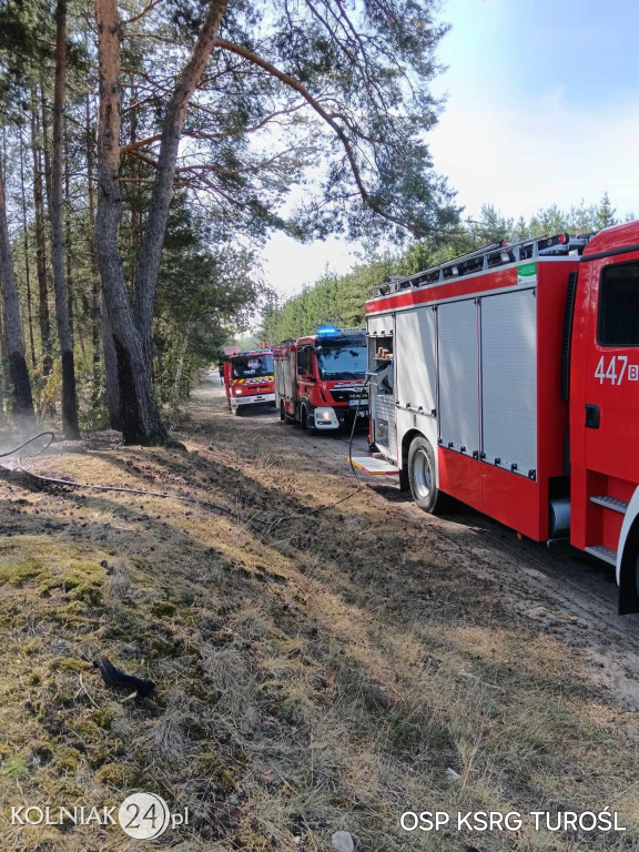 Pożary w gminie Turośl