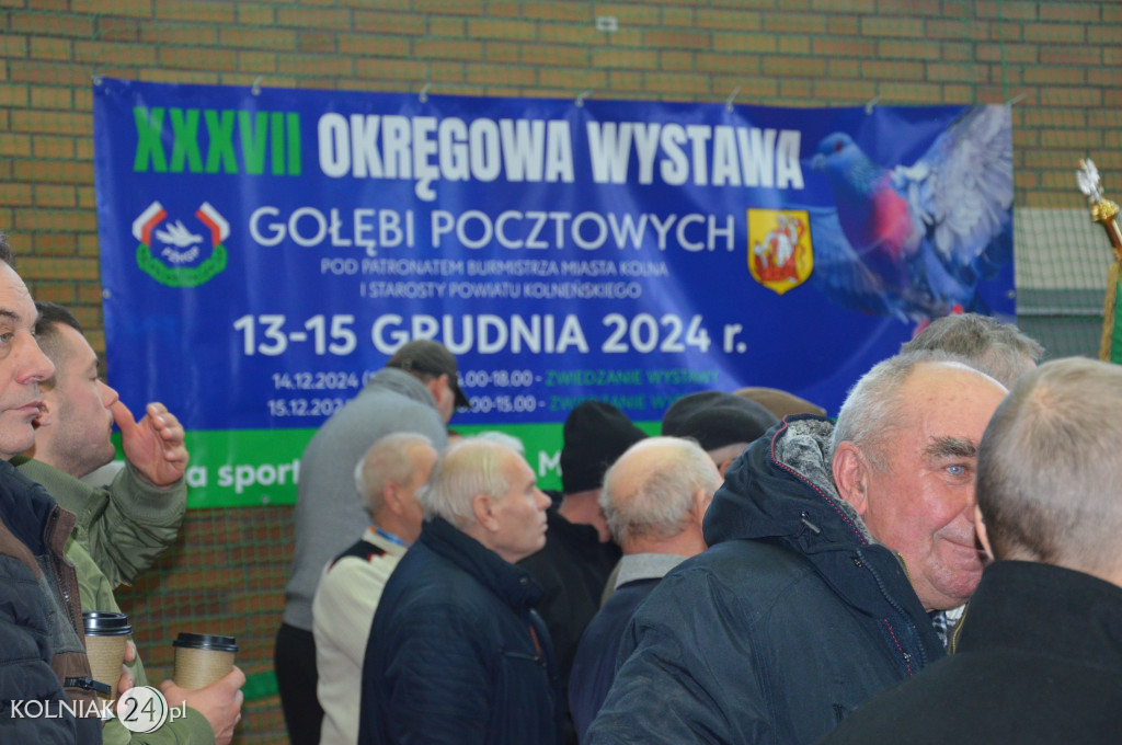 Kolno: XXXVII Okręgowa Wystawa Gołębi Pocztowych