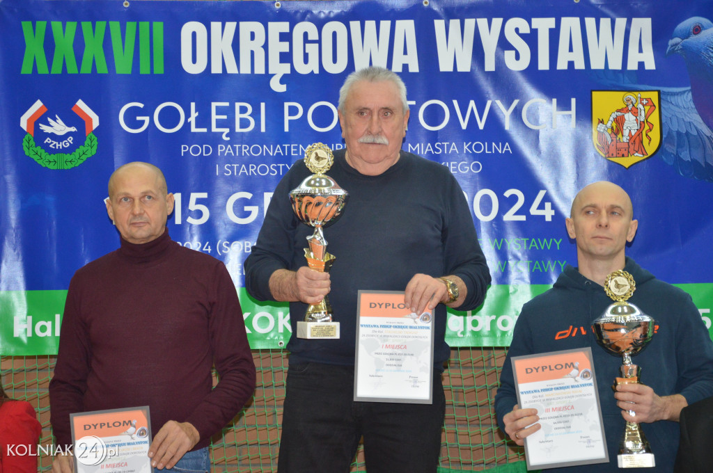 Kolno: XXXVII Okręgowa Wystawa Gołębi Pocztowych