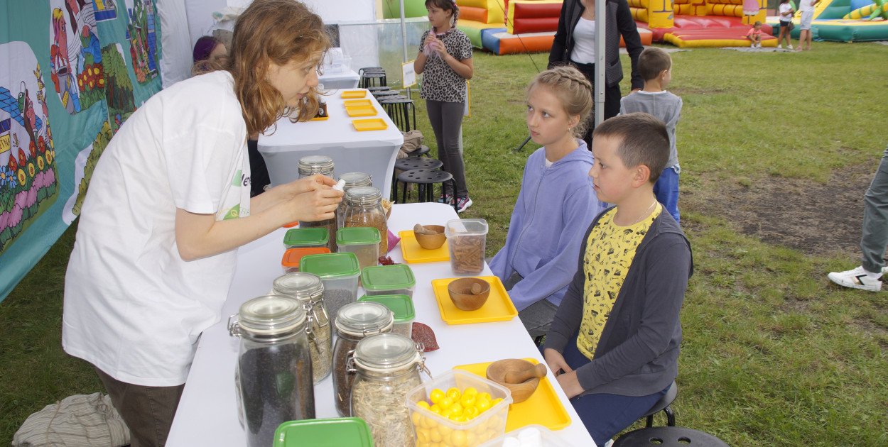 PIKNIK RODZINNY NA ZAKOŃCZENIE WAKACJI