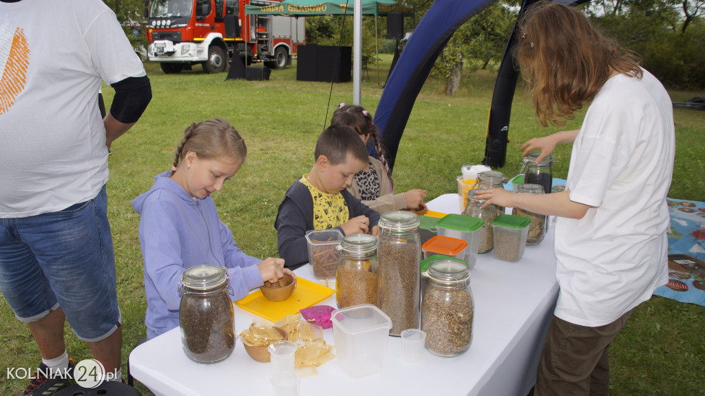PIKNIK RODZINNY NA ZAKOŃCZENIE WAKACJI
