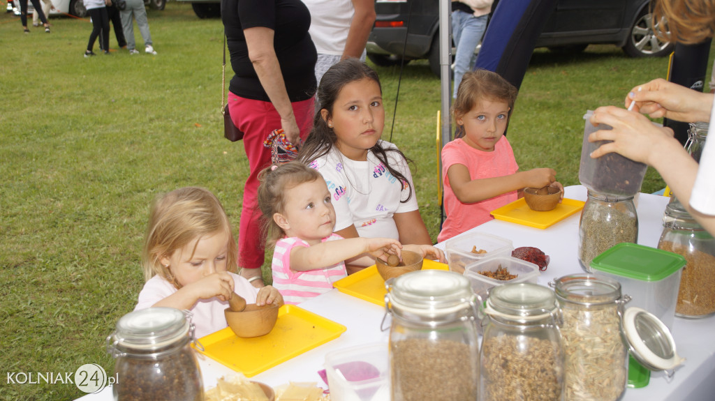 PIKNIK RODZINNY NA ZAKOŃCZENIE WAKACJI