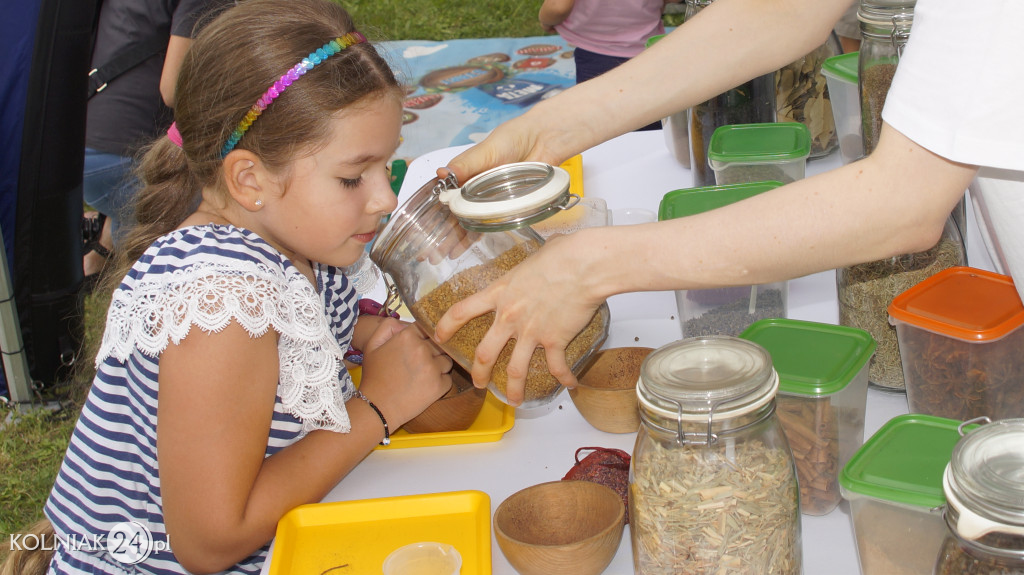 PIKNIK RODZINNY NA ZAKOŃCZENIE WAKACJI