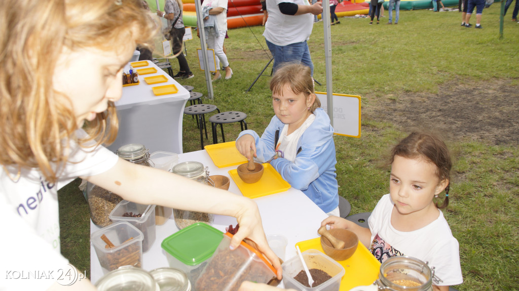 PIKNIK RODZINNY NA ZAKOŃCZENIE WAKACJI