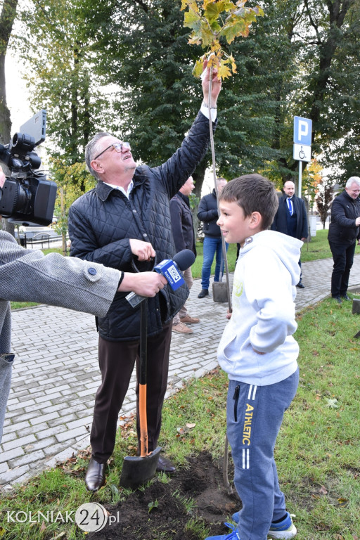 „600 lat tradycji, 600 drzew przyszłości”