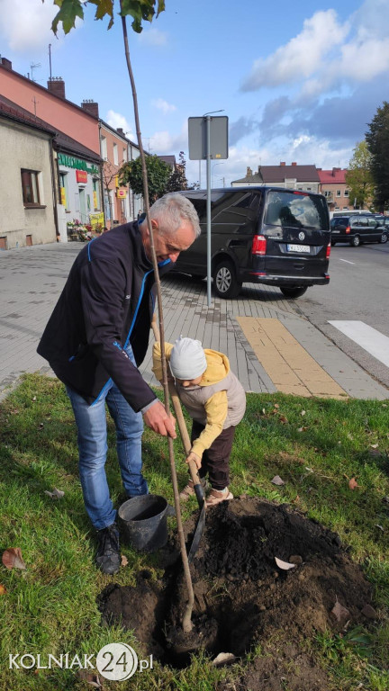 „600 lat tradycji, 600 drzew przyszłości”