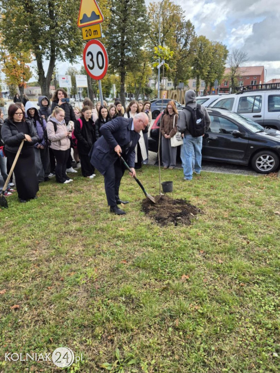 „600 lat tradycji, 600 drzew przyszłości”