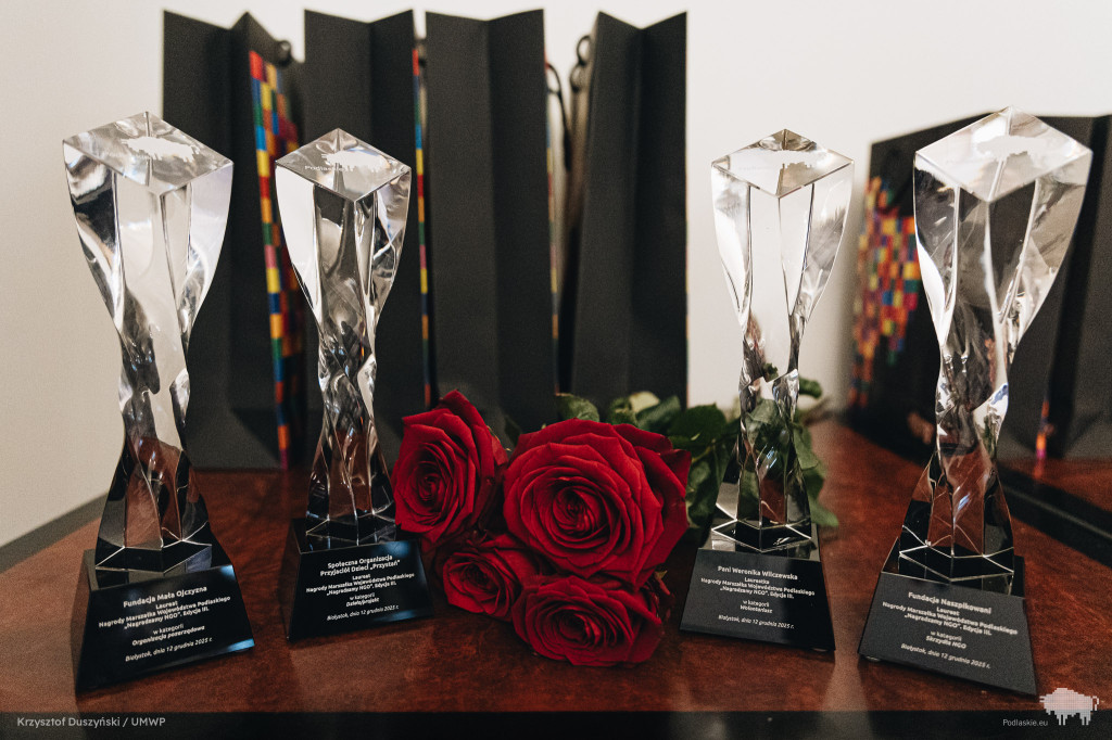 Trzecia edycja konkursu „Nagradzamy NGO”