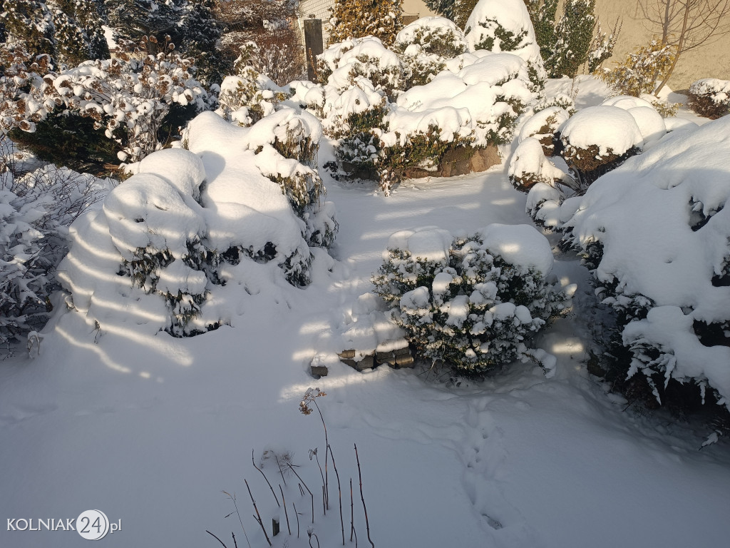 Kolno po opadach śniegu
