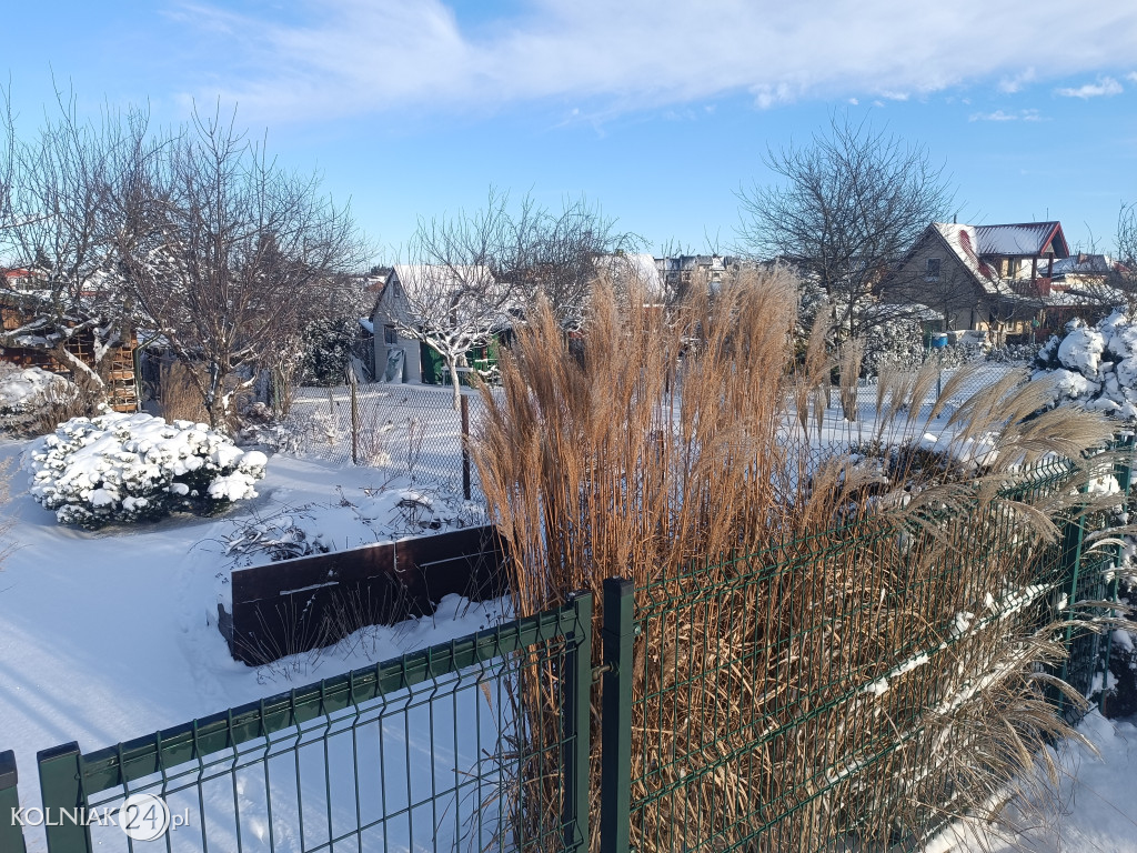 Kolno po opadach śniegu