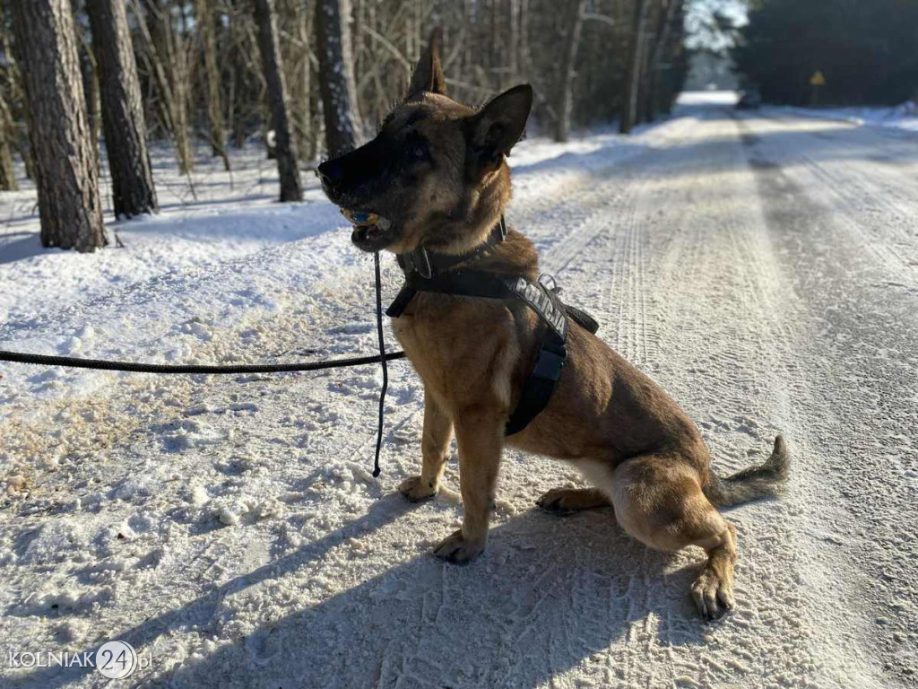 SZKOLENIE Z ZAKRESU POSZUKIWAŃ OSÓB ZAGINIONYCH