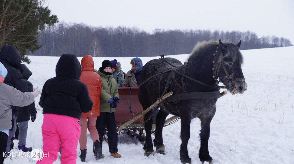 Ferie zimowe w Grabowie