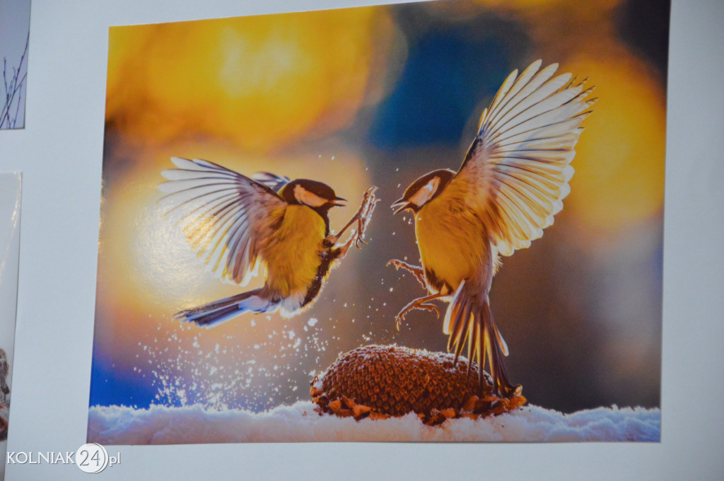 Wystawa fotograficzna Krzysztofa Niedbały