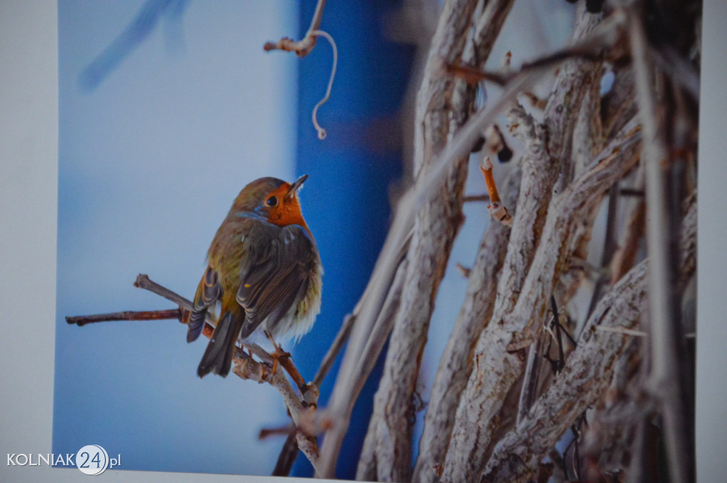 Wystawa fotograficzna Krzysztofa Niedbały