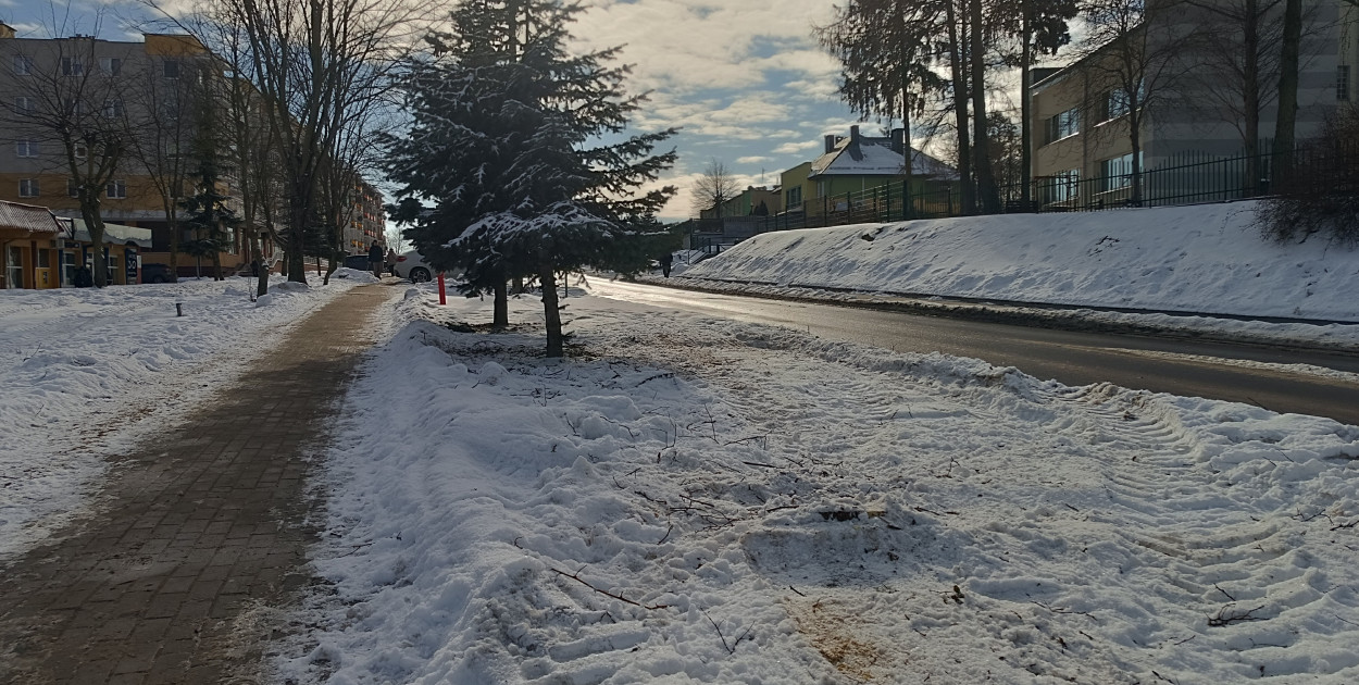 Wycięte drzewa na Witosa