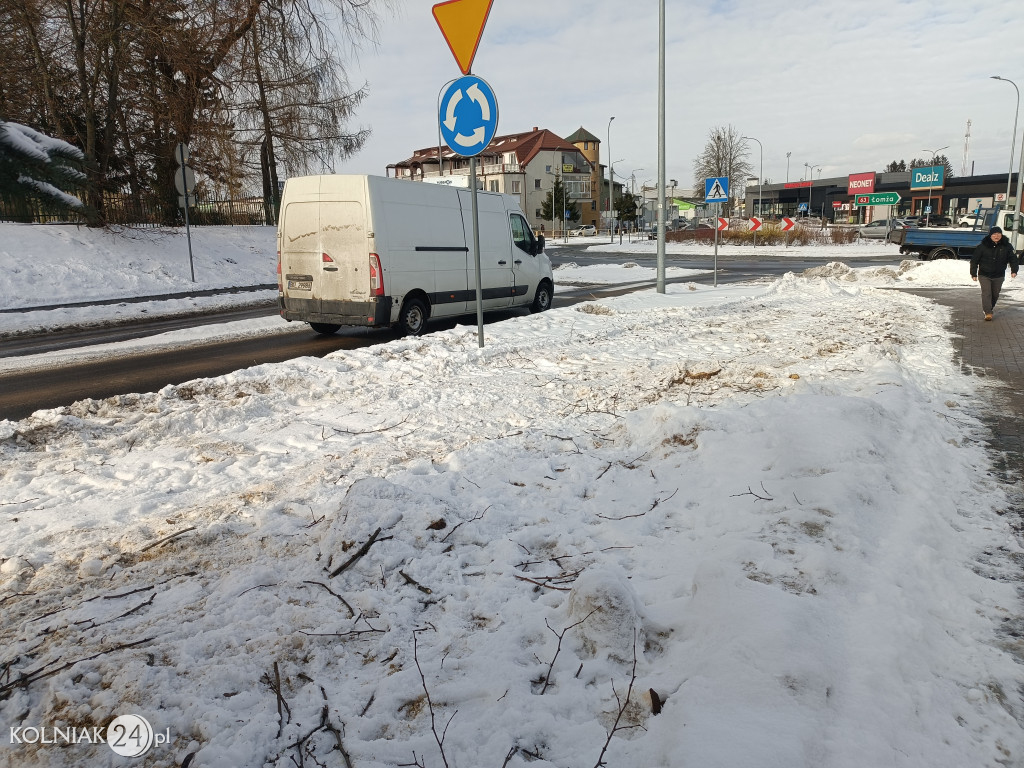 Wycięte drzewa na Witosa