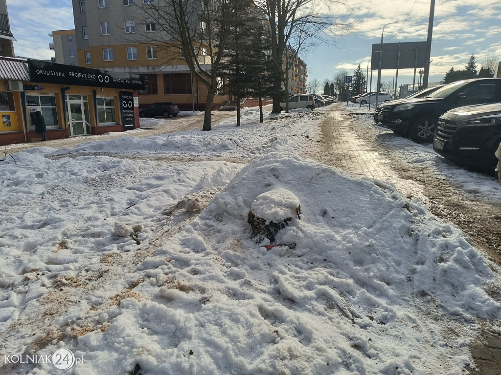 Wycięte drzewa na Witosa