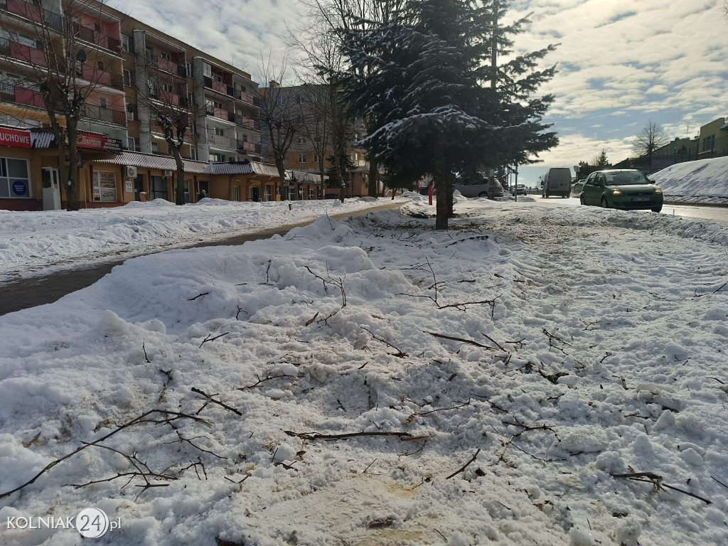 Wycięte drzewa na Witosa