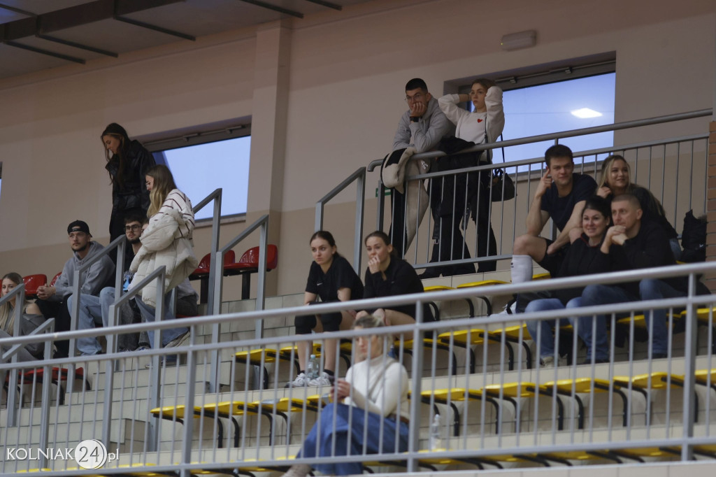 Liga Piłki Siatkowej – Miksty