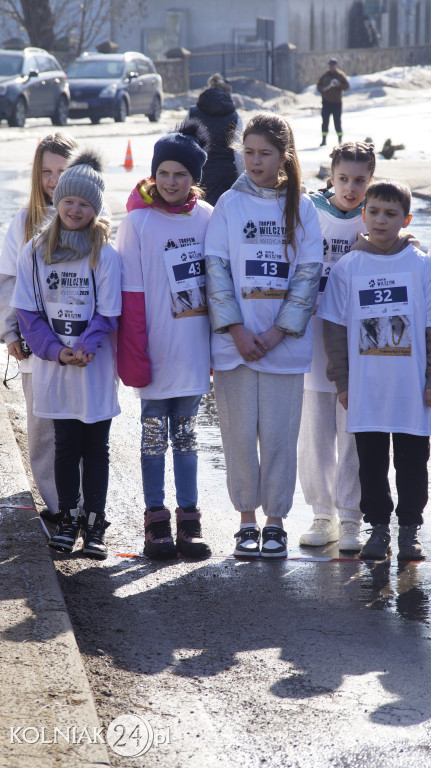 „Tropem Wilczym” w Grabowie