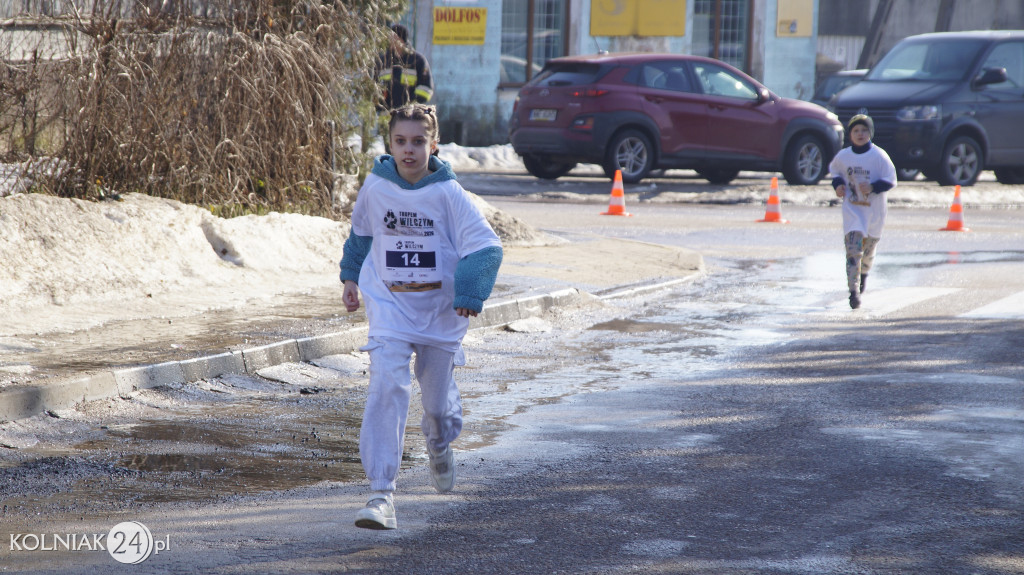 „Tropem Wilczym” w Grabowie