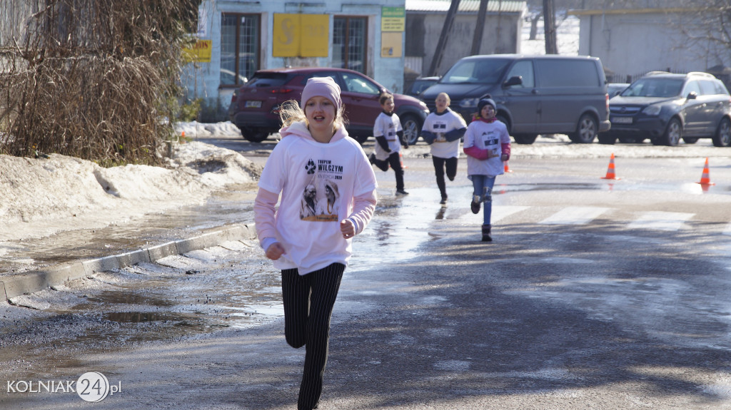 „Tropem Wilczym” w Grabowie