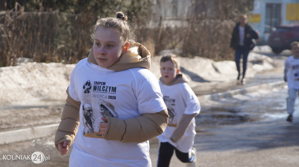 „Tropem Wilczym” w Grabowie