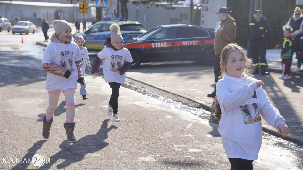 „Tropem Wilczym” w Grabowie