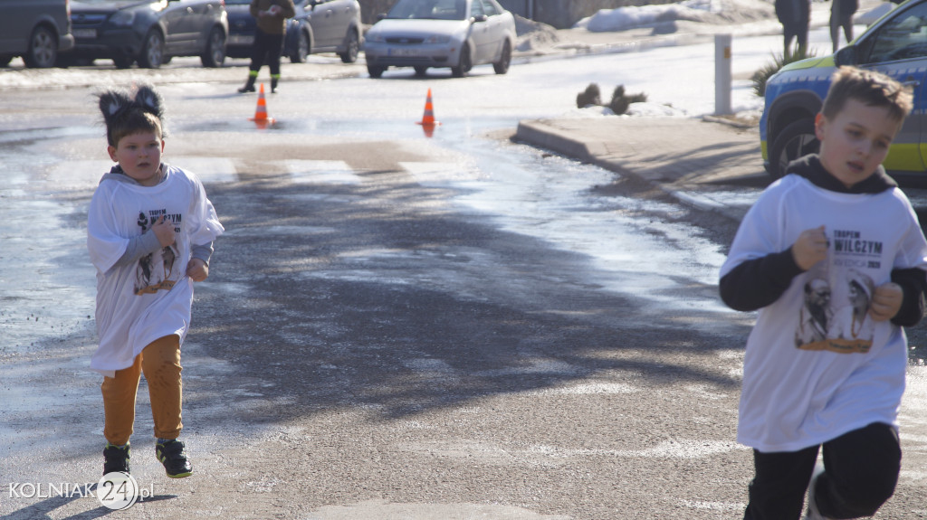 „Tropem Wilczym” w Grabowie